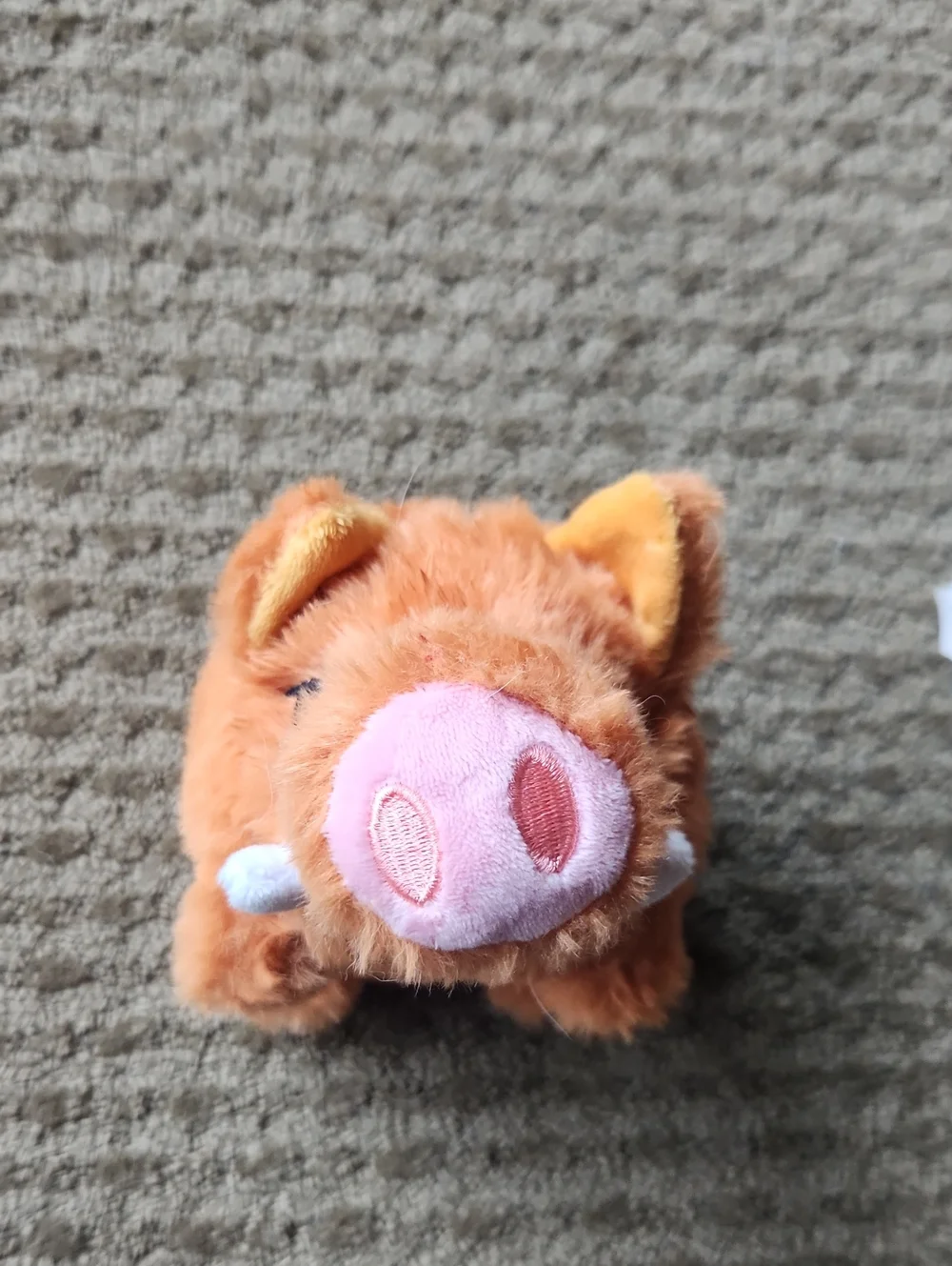 Bundle Of 2 Bark Box Toys